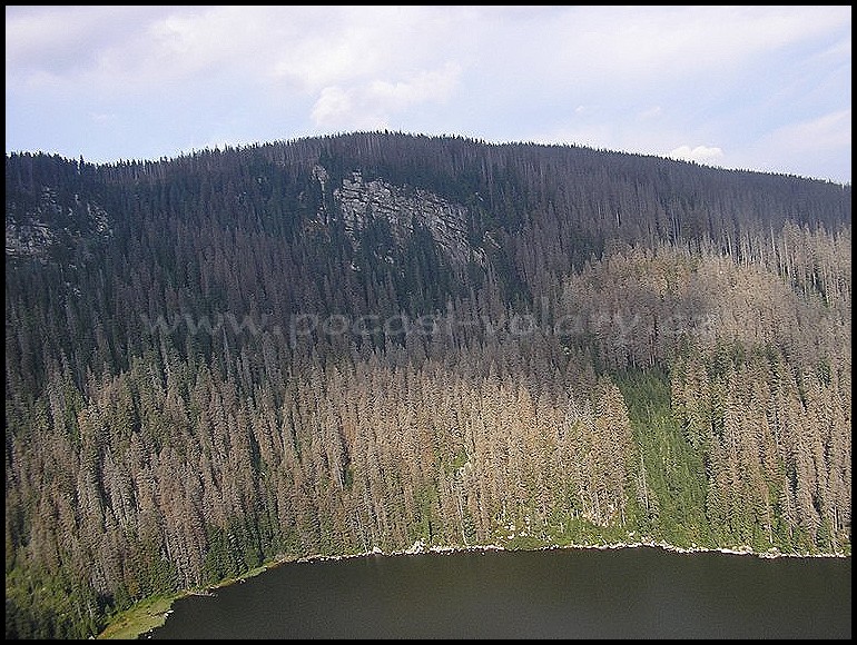 Ple�n� jezero