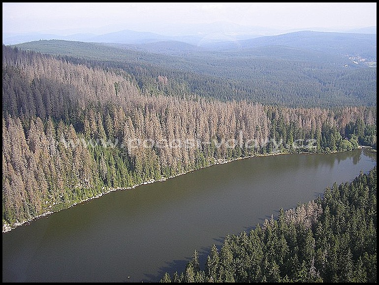Ple�n� jezero