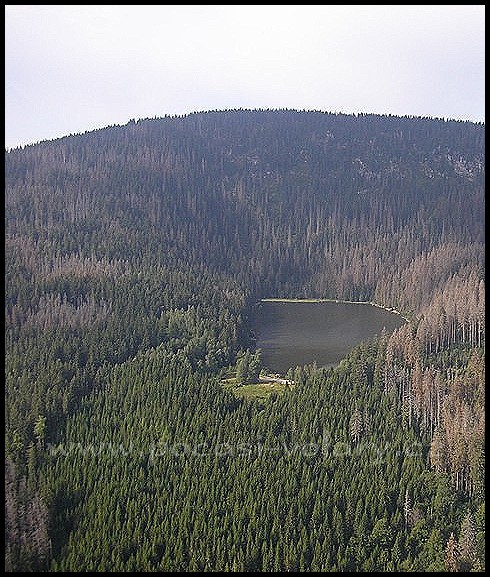 Ple�n� jezero